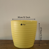 Decor 12 ( Pack of 4)